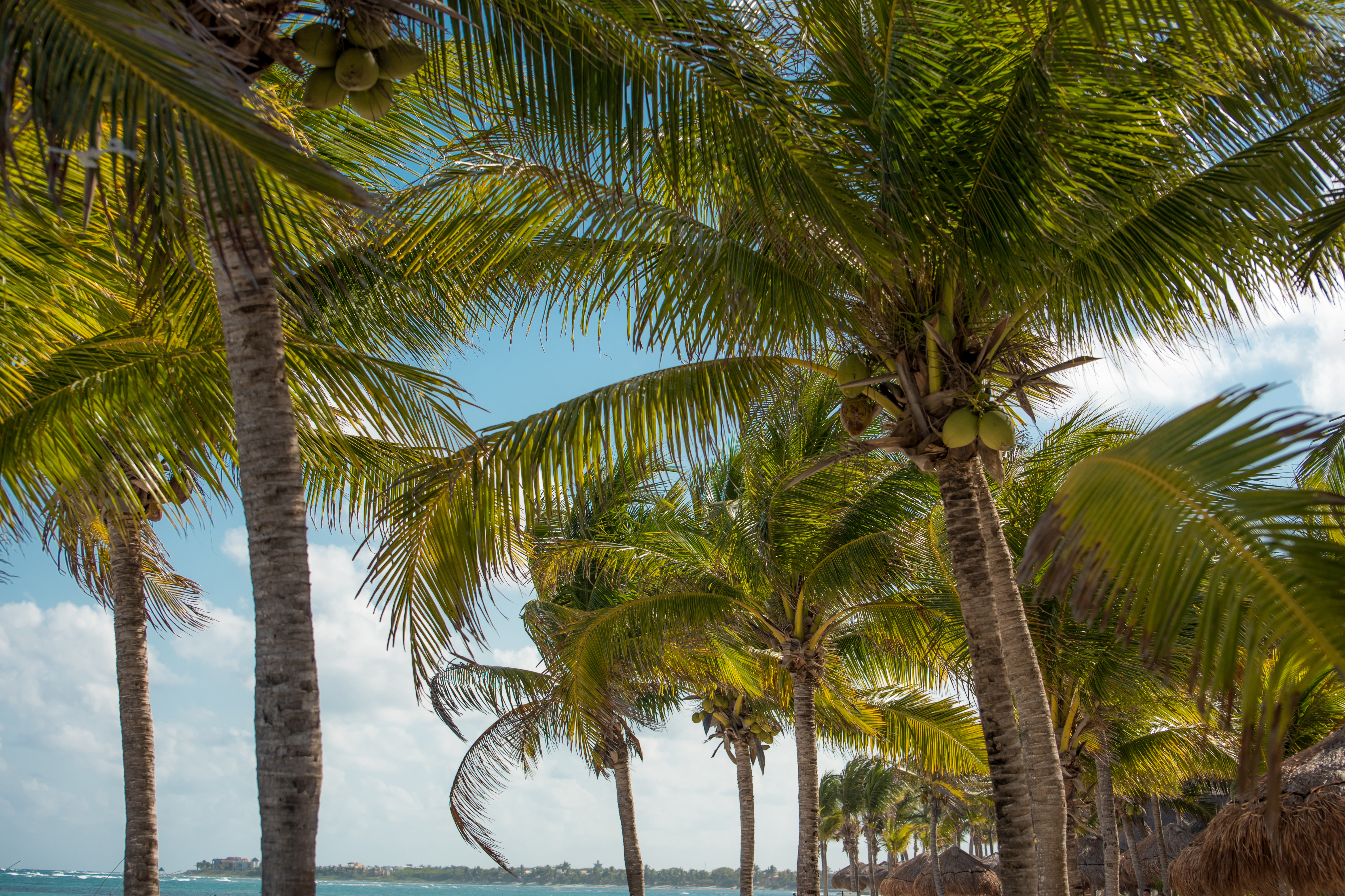 The beach of the island state, where it is possible to obtain Vanuatu citizenship by investment