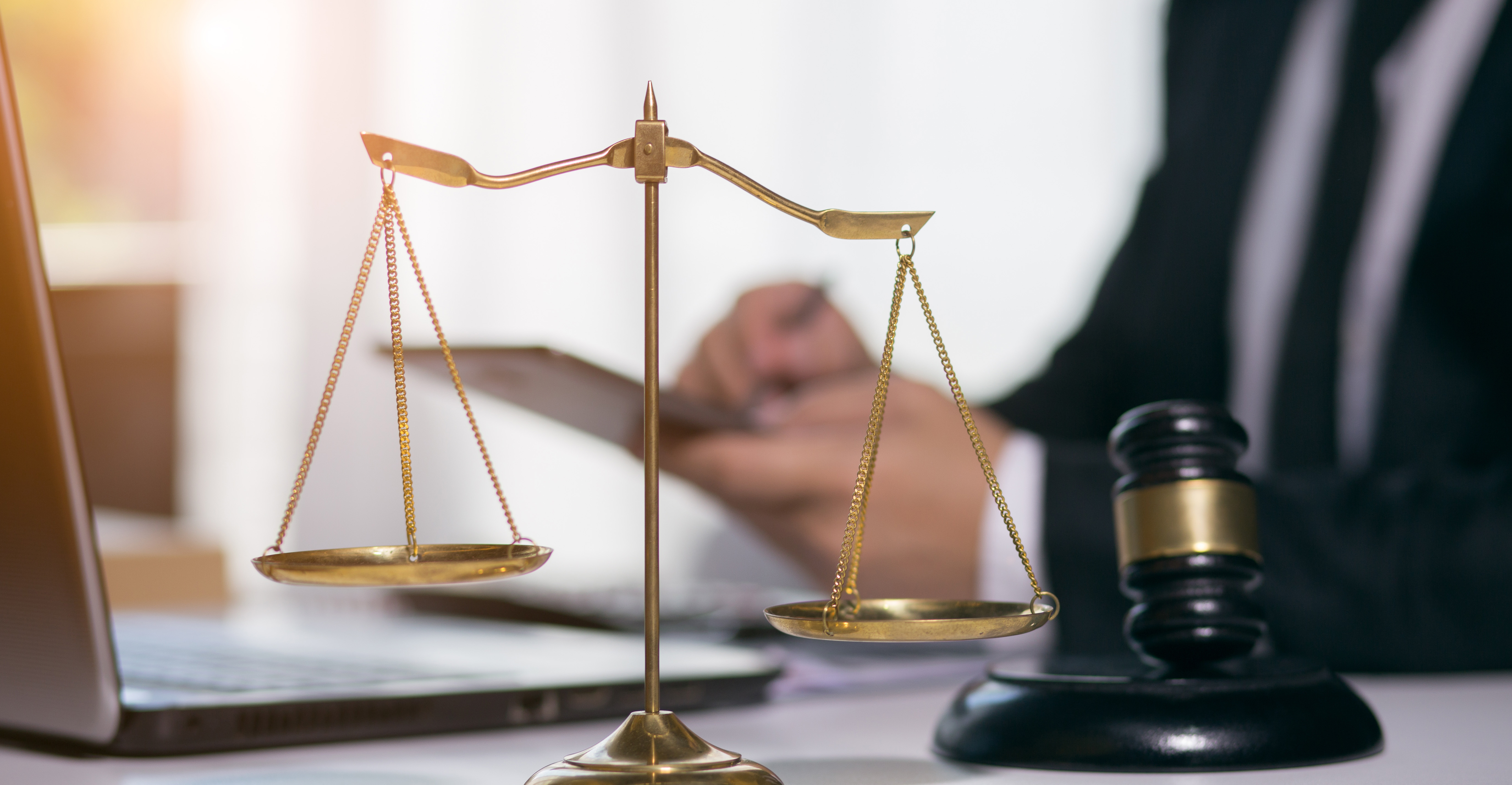The lawyer provides advice