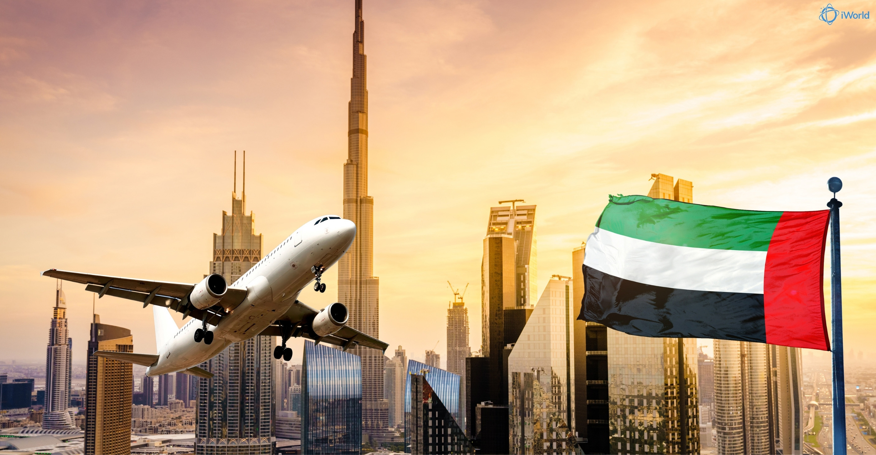 What is DMCC, and what are the steps for registering a company there? What benefits does it offer?